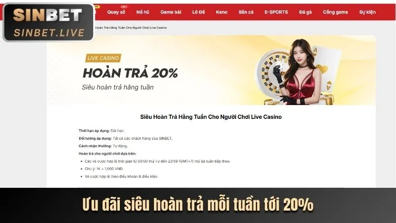 Hoàn trả cược 8kbet cc